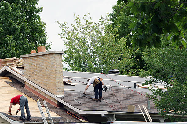 Roof Gutter Cleaning in Tyler, TX